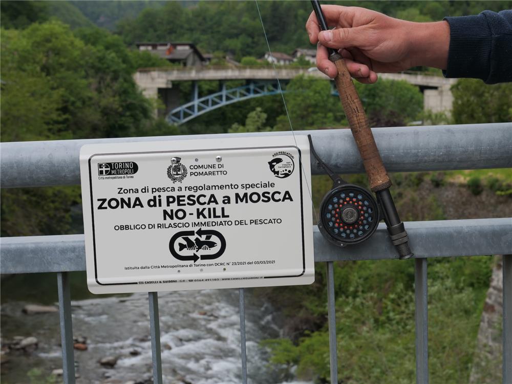 ZONA DI PESCA NO-KILL