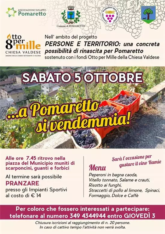 a pomaretto si vendemmia