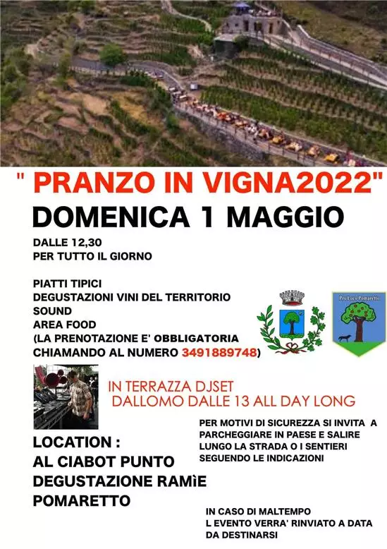 PRANZO IN VIGNA