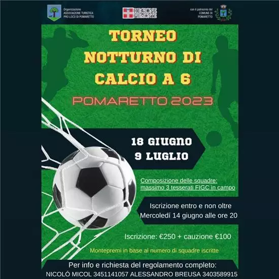 TORNEO CALCIO