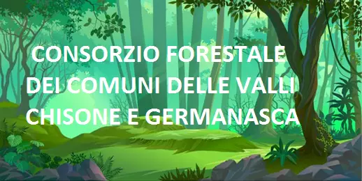 consorzio forestale