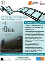 proiezione film in questo mondo