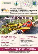 a pomaretto si vendemmia