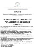 avviso bando forestale