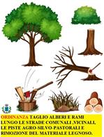 ORDINANZA TAGLIO ALBERI