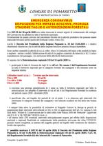 disposizioni imprese boschive