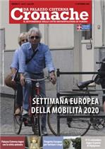 articolo vini