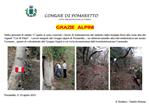 ALPINI SISTEMAZIONE SENTIERO