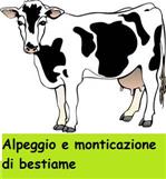 ALPEGGIO E MONTICAZIONE