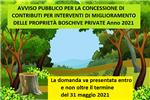 miglioramento proprietà boschive