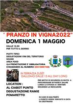 PRANZO IN VIGNA