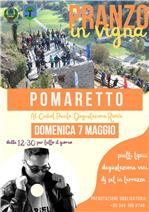 PRANZO IN VIGNA